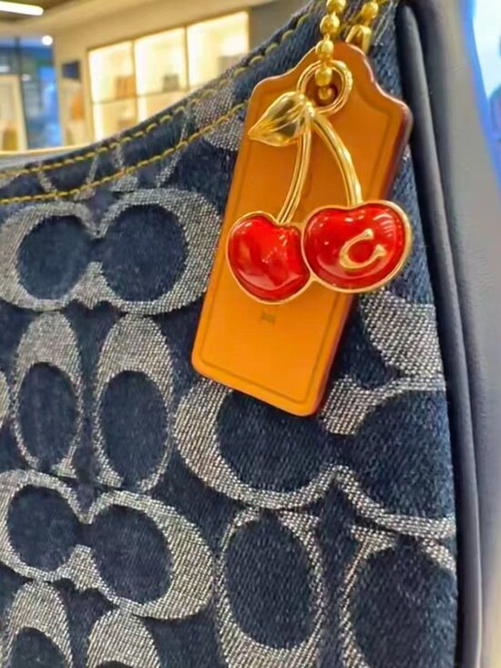 Coach F22209 Lexi Chain Shoulder Bag Metallic Navy Blue  Blue Coach bag👛